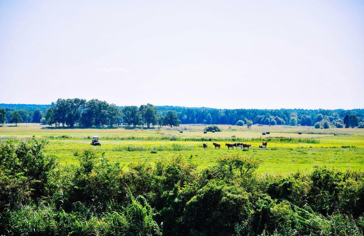 Zwirowa Gora - Domki Nad Narwia Tykocin Extérieur photo